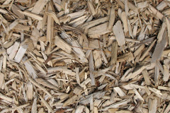 biomass boilers Saxton
